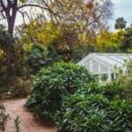 Lush garden with diverse plants and a greenhouse at Las Palmas Landcare Inc.